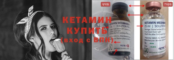 прущие грибы Грязовец