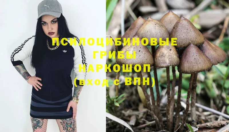 Галлюциногенные грибы MAGIC MUSHROOMS  Полярные Зори 