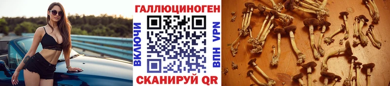 Псилоцибиновые грибы MAGIC MUSHROOMS  Полярные Зори 