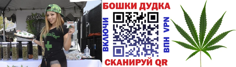 Канабис OG Kush  Полярные Зори 